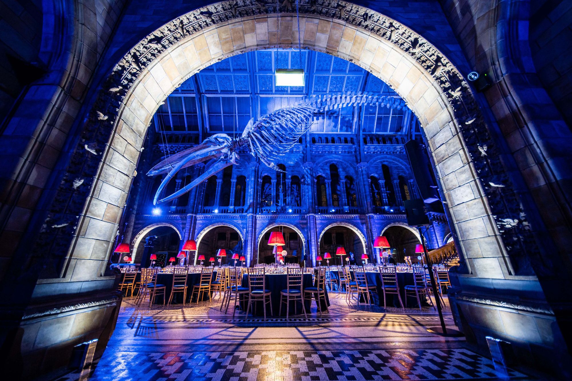 twobytwo_British_Airways_NHM_0040.jpg