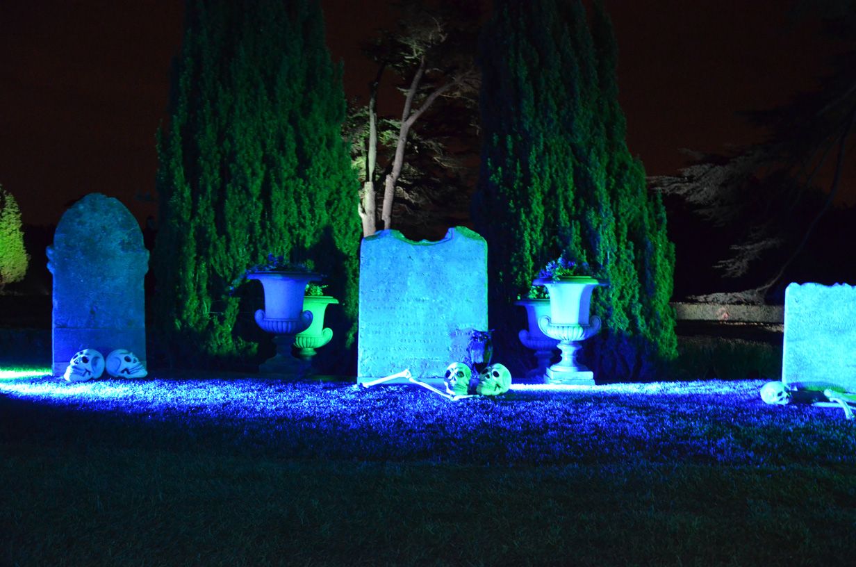 DSC_2066.jpeg