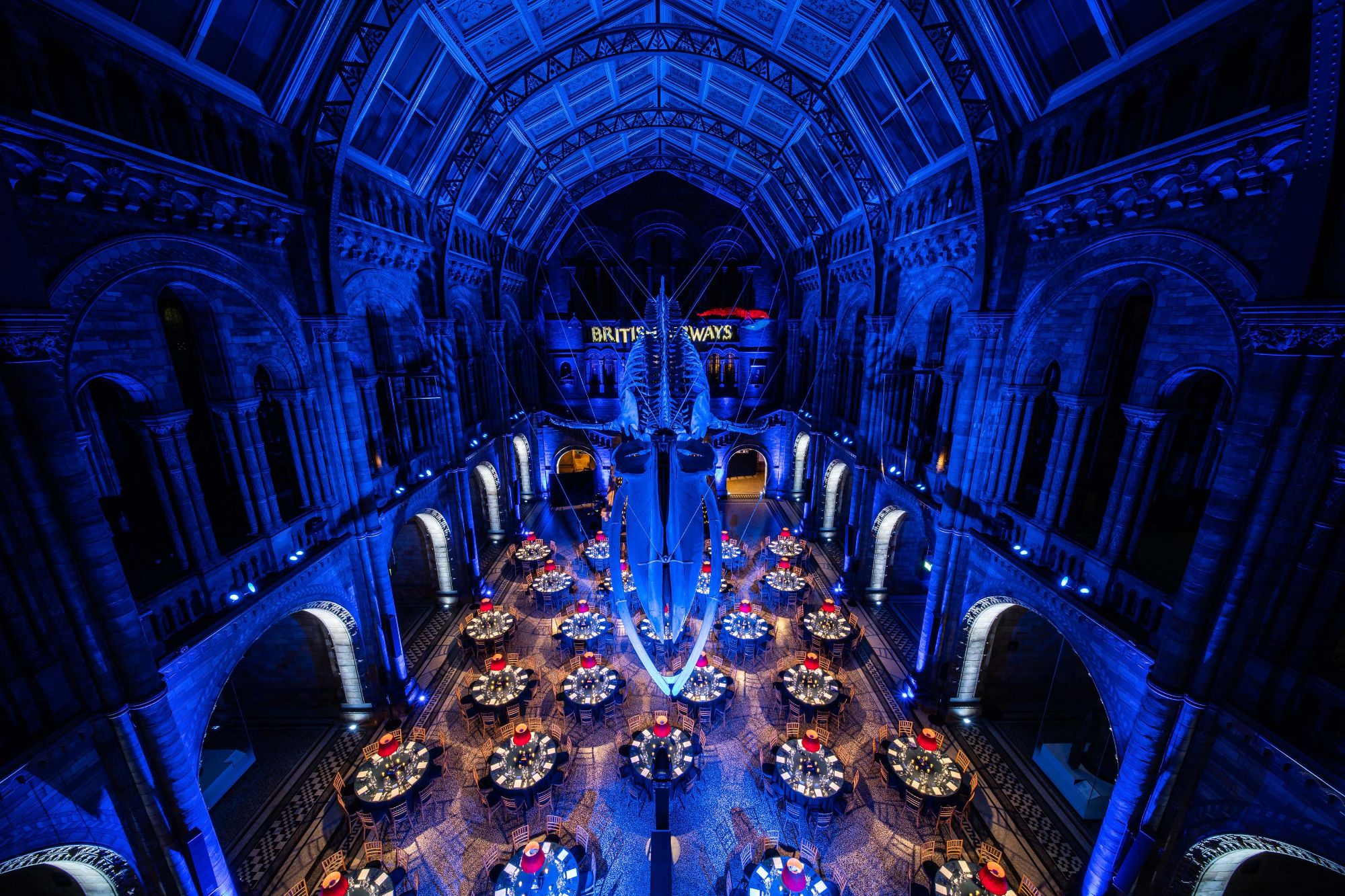 twobytwo_British_Airways_NHM_0038.jpg