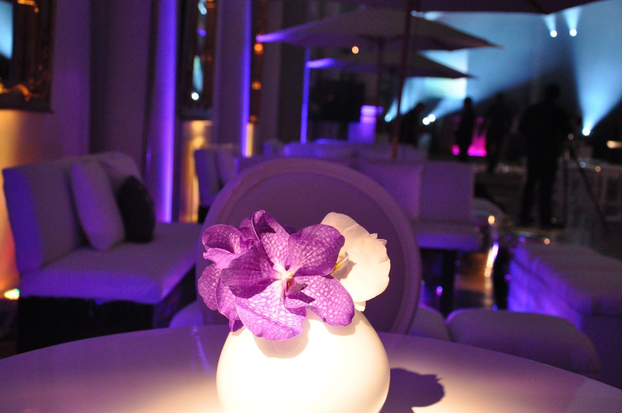 Nikki-Beach-Popup-5.jpg