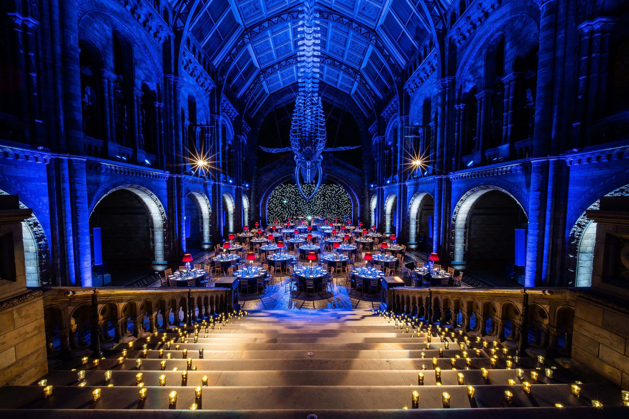 twobytwo_British_Airways_NHM_0032.jpg